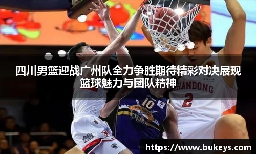 彩神VI首页官网