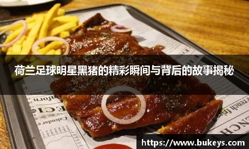 彩神VI首页官网